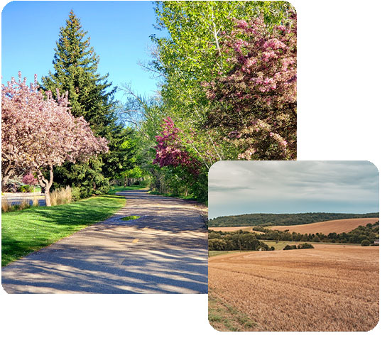 greenspace